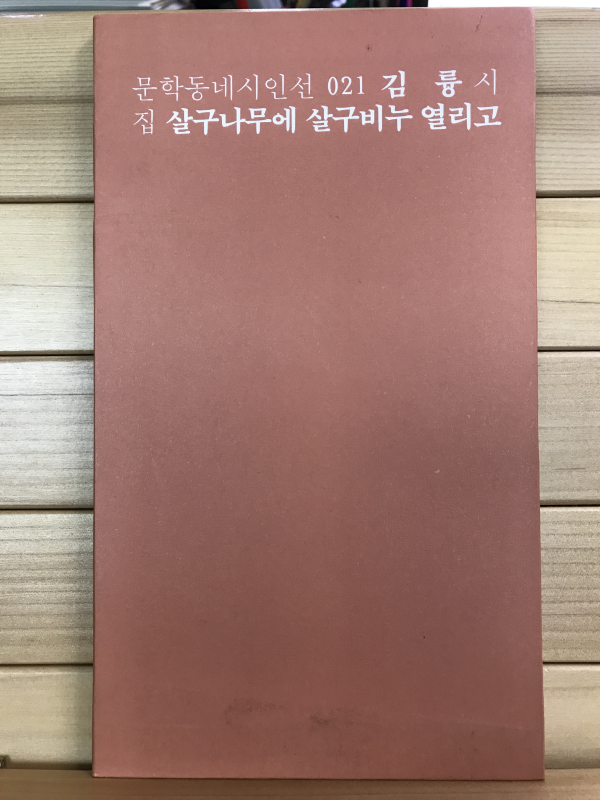 살구나무에 살구비누 열리고 (김륭시집,초판)