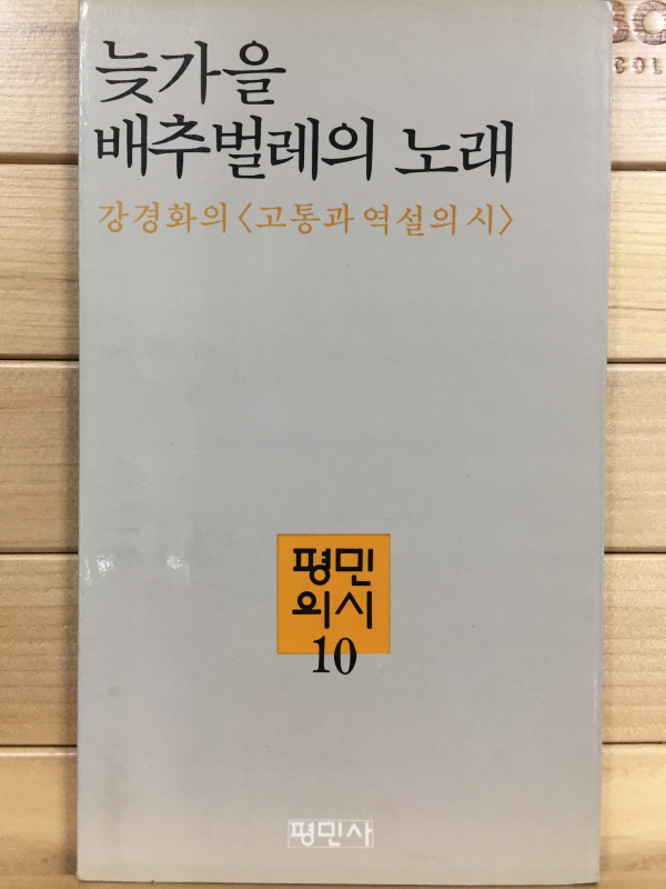 늦가을 배추벌레의 노래 (강경화시집,초판)