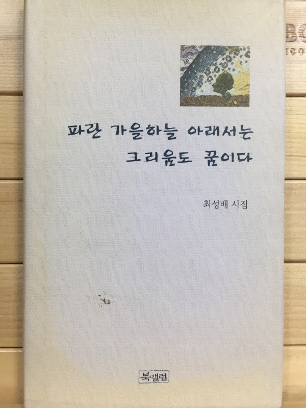 파란 가을하늘 아래서는 그리움도 꿈이다 (최성배시집,초판,저자서명본)