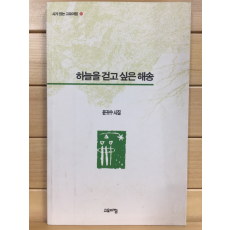 하늘을 걷고 싶은 해송