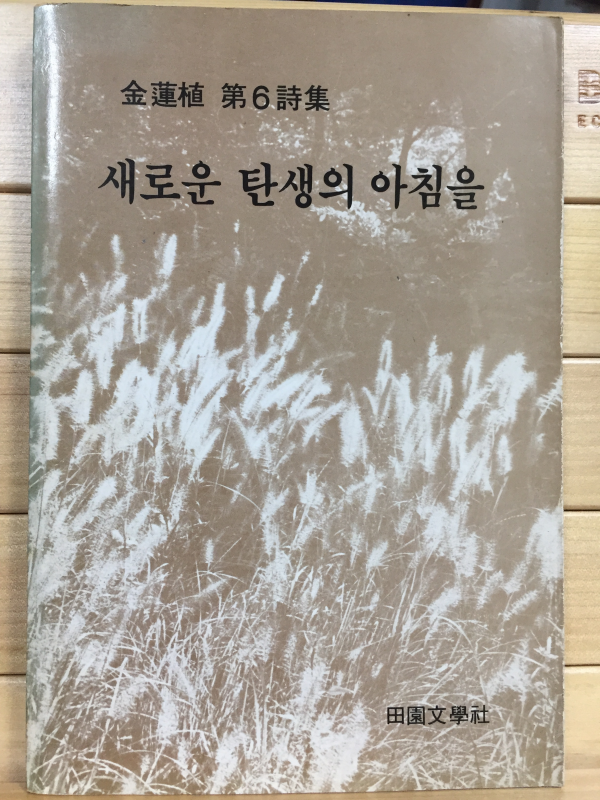 새로운 탄생의 아침을 (김연식 제6시집,초판)