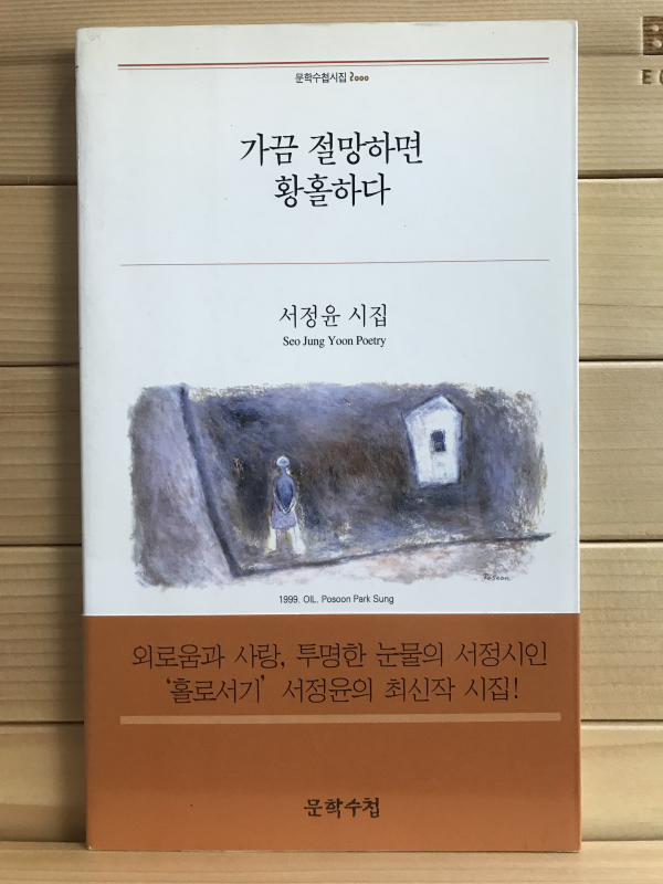 가끔 절망하면 황홀하다 (서정윤시집,초판)