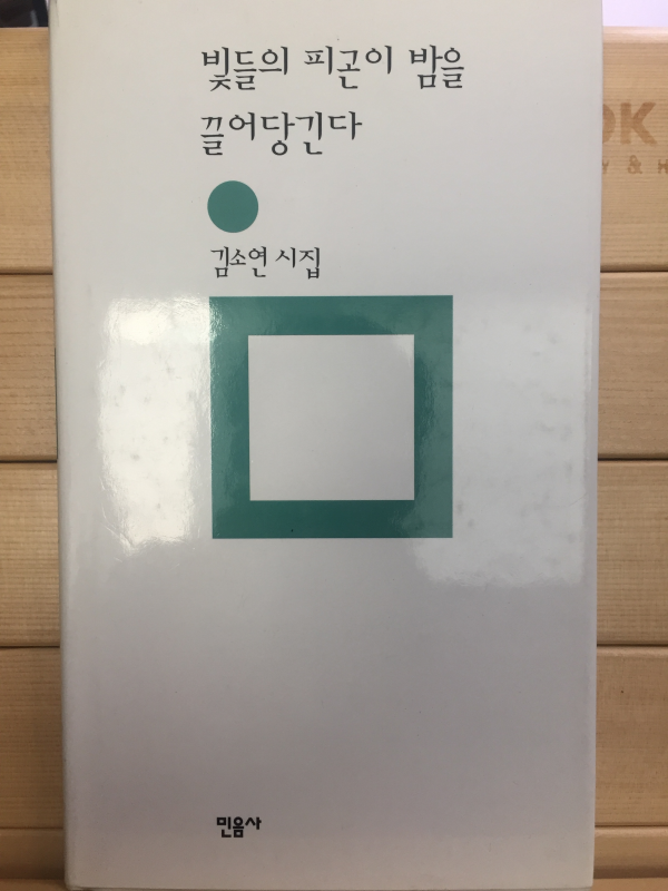 빛들의 피곤이 밤을 끌어당긴다