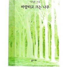 바람타고 크는 나무 (김영훈시집,초판)