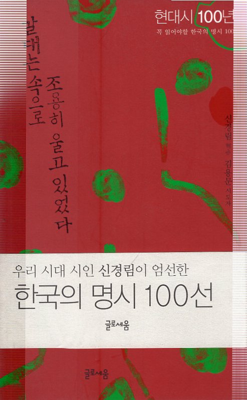 갈대는 속으로 조용히 울고 있었다 - 현대시100년 꼭 읽어야할 한국의 명시 100