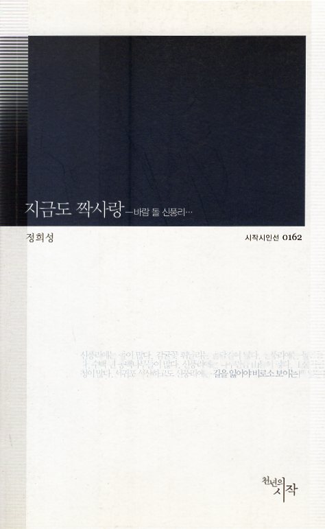 지금도 짝사랑 (정희성시집,초판) - 바람 돌 신풍리...