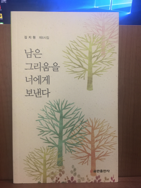 남은 그리움을 너에게 보낸다 (김지원시집,2013초판)