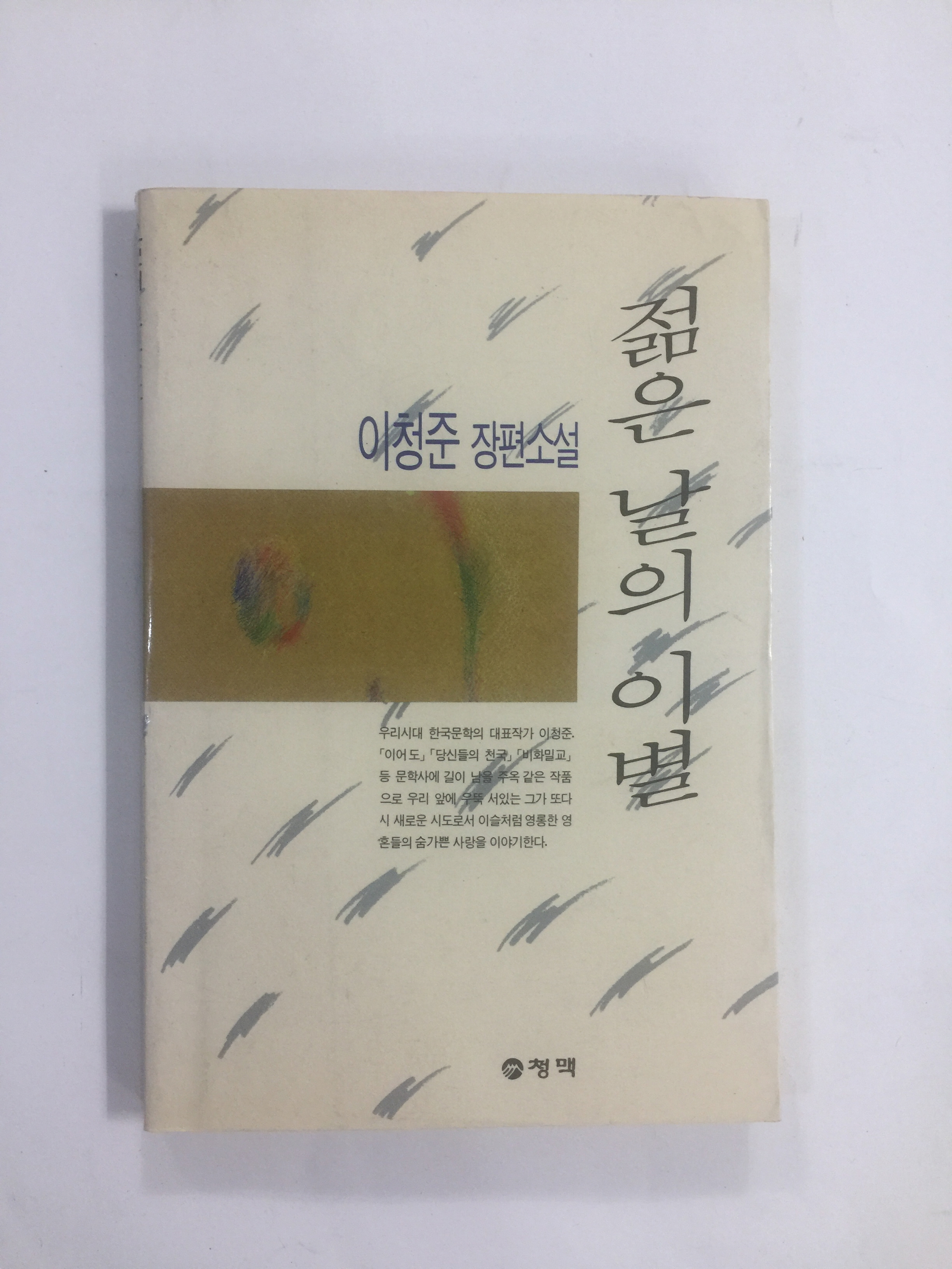 젊은 날의 이별 (이청준장편소설, 1991년초판)