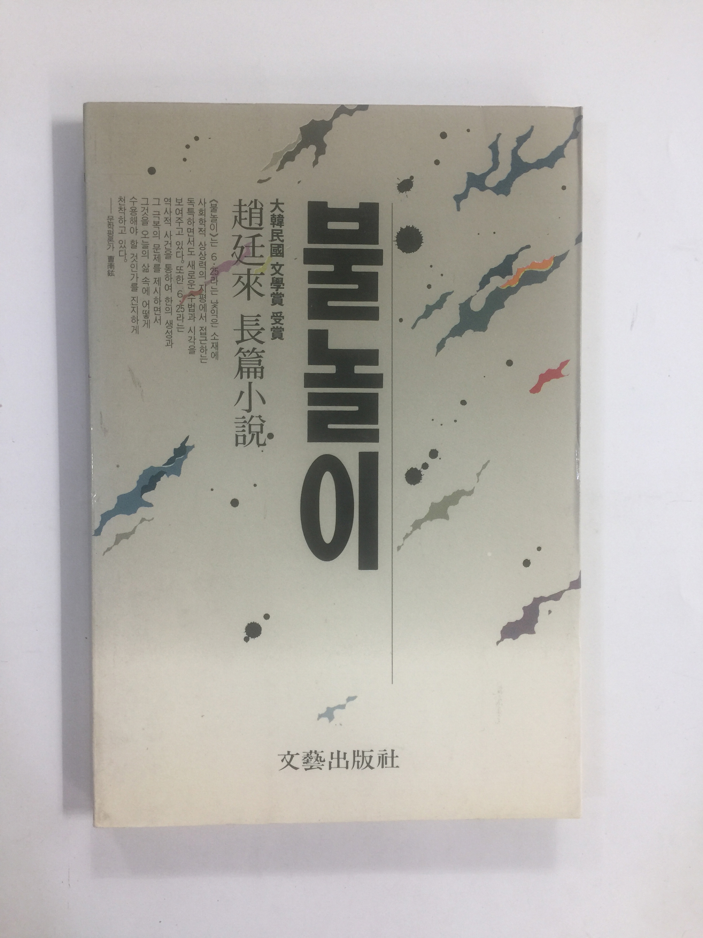 불놀이 (조정래장편소설, 1990년)