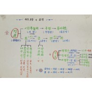 대한민국 정부 조직 및 지방 행정 체계를 도식화한 교육용 자료  ‘우리 고장의 관청’