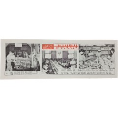 [22] 60년대 북한에 뿌린 삐라