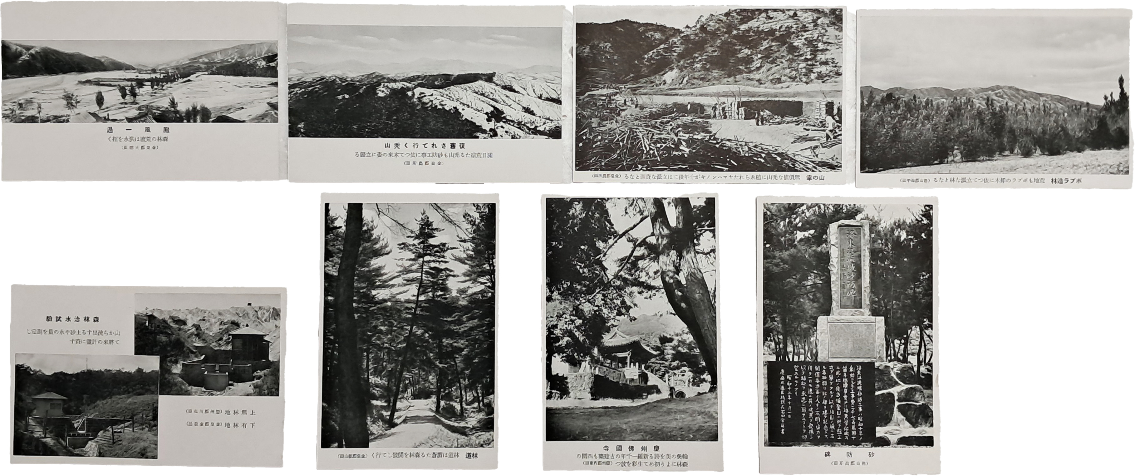 [12] 김천군(金泉郡)·선산군(善山郡)·경주군(慶州郡)의 태풍(颱風)·삼림(森林)·치수(治水)·임도(林道)·독산(禿山)의 사방공사 등 관련 엽서 8점 일괄