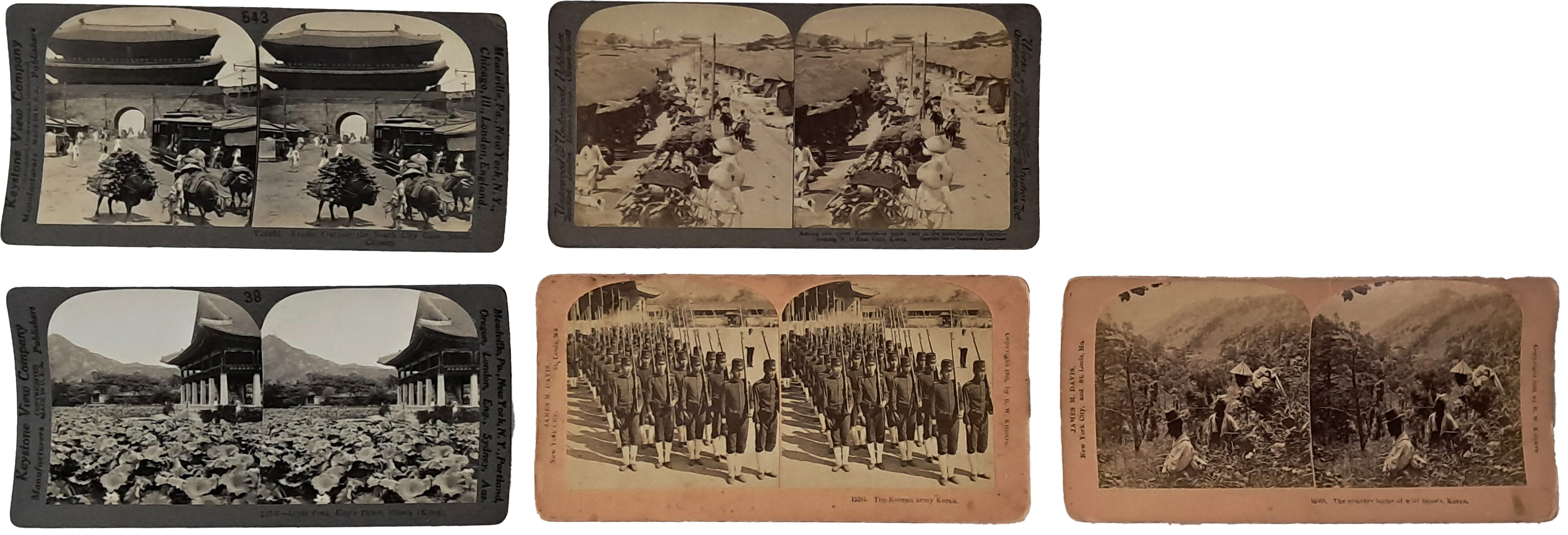 [195] 야생동물의 서식지, 구식군대 등의 모습이 담긴 스테레오 뷰 5점 일괄