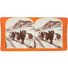 [42] 1900년대 스테레오 뷰 - 땔감 장사꾼 모습