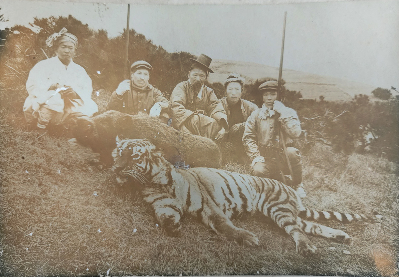 [102] 전남 영광군 불광산(모악산) [호랑이 포획사진] 원본